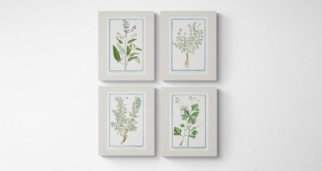 Vintage Botanical Print Cottagecore Farmhouse Boho Watercolor Wall Art