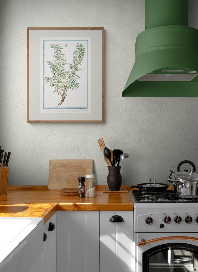 Photo inspiration: Picture Idea: Vintage Botanical Print Cottagecore Farmhouse Boho Watercolor Wall
