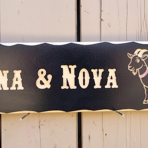 GOAT NAME SIGN Luna and Nova