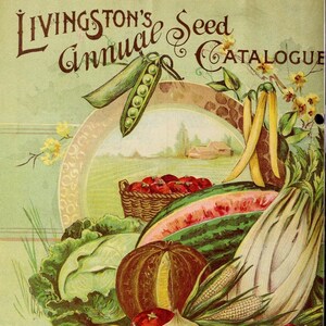 Könnte beinhalten: Eine Vintage-Illustration einer Auswahl an frischem Obst und Gemüse, darunter Wassermelone, Mais, Kohl, Zwiebeln, Radieschen, Paprika und Erbsen. Die Illustration ist von einem dekorativen Rahmen umgeben und enthält den Text "Livingston's Seed Catalogue" und "Livingston's Seed Store 708 & 710 Locust St. DES MOINES. IOWA."