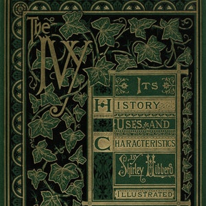 Ivy History, Uses, and Characteristics - DIGITAL Art PRINT