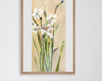 White Narcissus Botanical Illustration- Unusual Sized DIGITAL ART PRINT