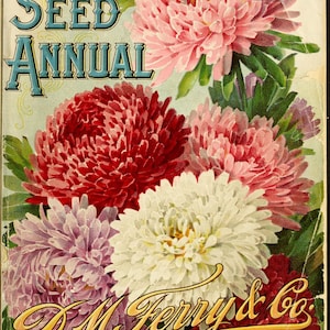 Op de afbeelding: Een vintage zaadcatalogusomslag met een boeket kleurrijke asterbloemen in tinten roze, wit en rood. De tekst "1900 SEED ANNUAL D.M. Ferry & Co. DETROIT, MICH." staat op de omslag gedrukt.