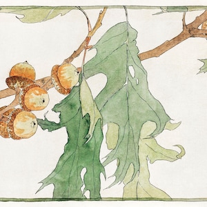 Oak Branch Botanical Illustration- DIGITAL ART PRINT