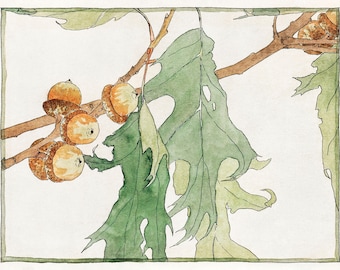 Oak Branch Botanical Illustration- DIGITAL ART PRINT