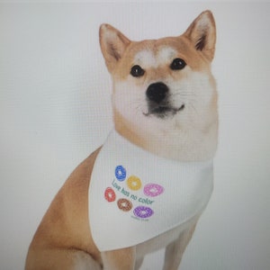 Love Has No Color Pet Bandana Halsband