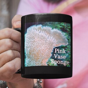 Wildlife Photography, Marine Biology, Pink Vase Sponge, Sea Shell Gifts, Oneder the Sea, Scuba Diving, Marine Biology Gift, Scuba Diving