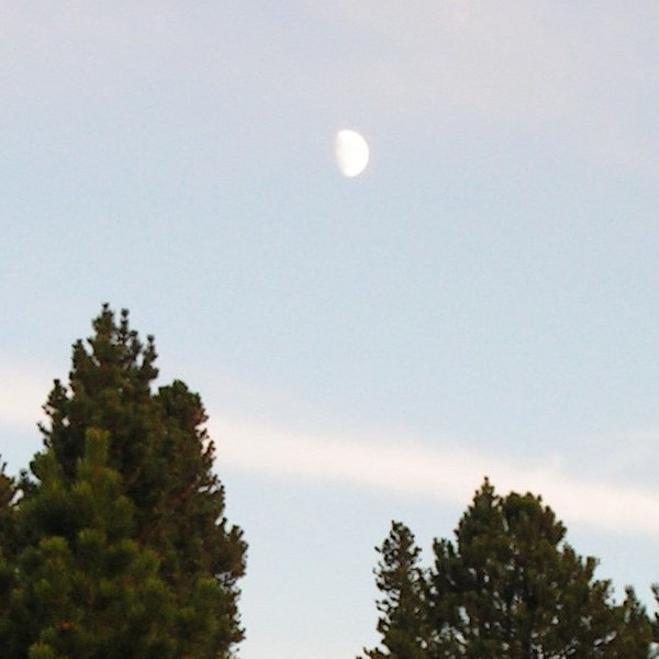 Digital Download PNG File, Half Moon, Colorado Photography, Evergreen Tree, Colorado Gifts, Rocky Mountains, Colorado Rockies, Mystical Moon