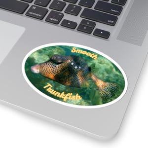 Smooth Trunkfish Vinyl Sticker, Choose From 3 Sizes, Tropical Fish Sticker, Ocean Lover Gift Idea, Smooth Trunkfish Merch, Sea Life Decor