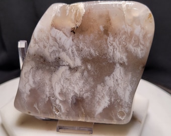 ¡Piedra de palma de ágata con penacho de Graveyard Point!