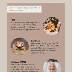 May include: Educational graphic about different types of pets. Includes images of a clownfish, a reptile, and a hamster. Text describes fish, reptiles, and small animals, highlighting their characteristics and care requirements.