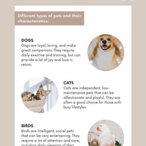May include: A page from a book titled "Chapter 1" with information about different types of pets. The page includes descriptions of dogs, cats, and birds, along with corresponding images of each animal.