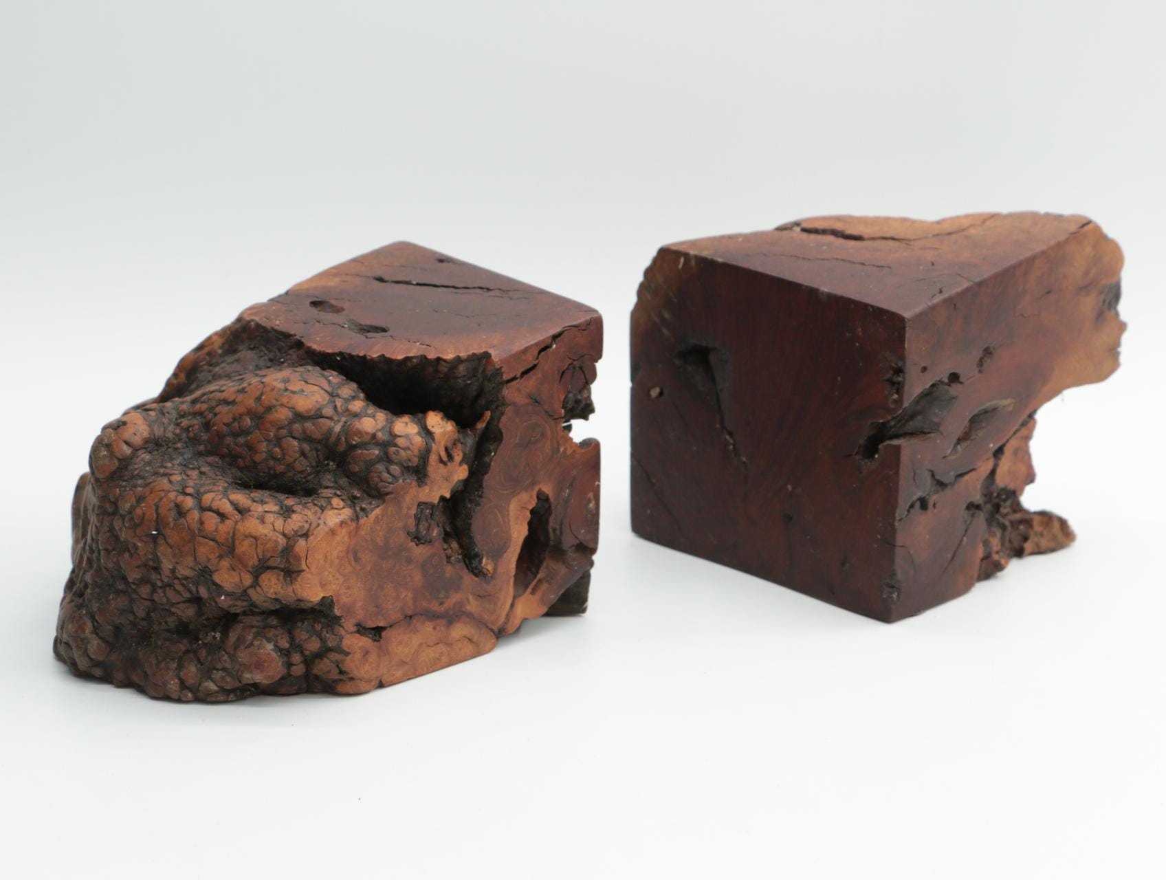 Organic MCM Burl Wood Bookends: Live Edge Raw Redwood Root