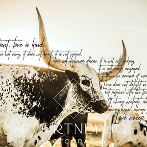 1 Korinther 13,4-8 // Westliche Kunst // Westliche Fotografie // Longhorn Photo // Digitale Datei // .JPG only