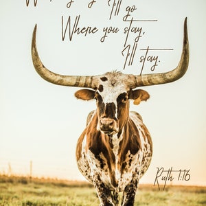 Where you go, I&#39;ll go, Where you stay, I&#39;ll Stay Ruth 1:16 // Nebraska Longhorn // Digital File // .JPG DOWNLOAD ONLY
