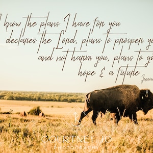 Puede incluir: Una cita de Jeremías 29:11, "Porque yo sé los planes que tengo para vosotros, declara el Señor, planes de bienestar y no de calamidad, para daros un futuro y una esperanza." La cita se muestra sobre un fondo marrón con una imagen borrosa de una manada de bisontes en un campo.