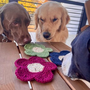 Może przedstawiać: Trzy psy: brązowy labrador, golden retriever i czarno-biały pies, patrzą na trzy dziergane na szydełku podkładki w kształcie kwiat&oacute;w na drewnianym stole. Podkładki są zielone, niebieskie i r&oacute;żowe.