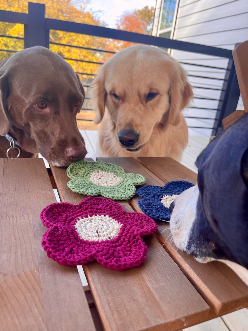Może przedstawiać: Trzy psy: brązowy labrador, golden retriever i czarno-biały pies, patrzą na trzy dziergane na szydełku podkładki w kształcie kwiat&oacute;w na drewnianym stole. Podkładki są zielone, niebieskie i r&oacute;żowe.