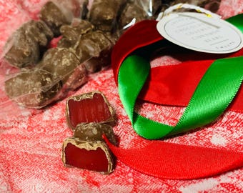 Chocolate Covered Cinnamon Bears-Gift-Sweet Gift-Sweet Treat-Red Hot Cinnamon