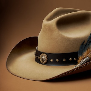 Könnte beinhalten: Ein brauner Cowboyhut aus Filz mit einem schwarzen Lederband und einer dekorativen Metallschnalle. Der Hut hat einen Federschmuck und ist mit silbernen Nieten verziert.