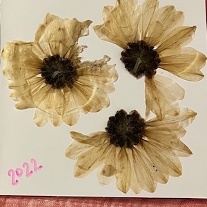 Gepresste Blumenkarte
