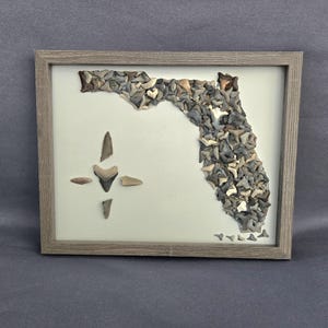Könnte beinhalten: Gerahmtes Kunstwerk, das den Bundesstaat Florida darstellt, hergestellt aus verschiedenen Haifischzähnen. Die Zähne sind so angeordnet, dass sie den Umriss des Staates bilden, mit einem kreuzartigen Design. Der Rahmen ist neutralgrau.