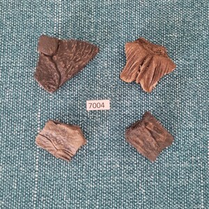 Turtle Shell Pack