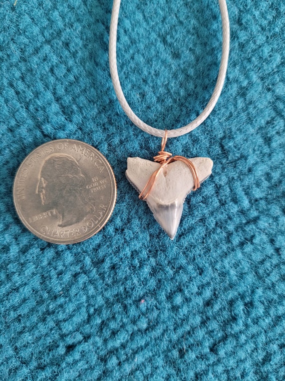Bone Valley Bull Shark Tooth Necklace - image 6