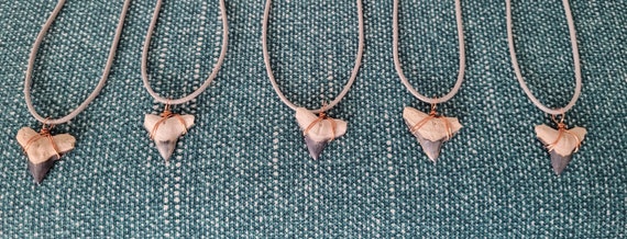 Bone Valley Bull Shark Tooth Necklace - image 5