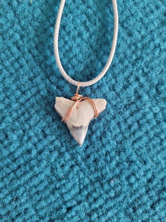 Bone Valley Bull Shark Tooth Necklace - image 3