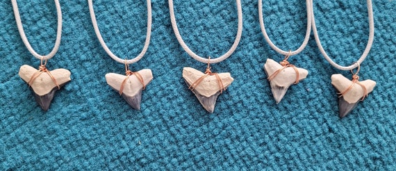 Bone Valley Bull Shark Tooth Necklace - image 1