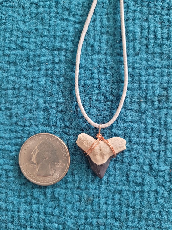 Bone Valley Bull Shark Tooth Necklace - image 7