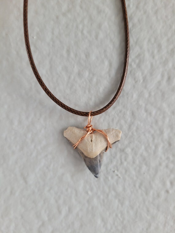 Bone Valley Bull Shark Tooth Necklace