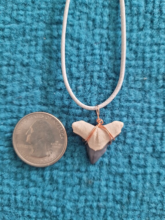 Bone Valley Bull Shark Tooth Necklace - image 8