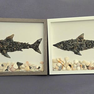 Great White Shark Art