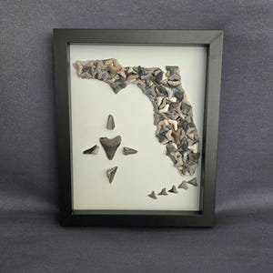 Könnte beinhalten: Gerahmtes Kunstwerk mit einer Karte von Florida, die aus verschiedenen Haifischzähnen gefertigt wurde. Die Zähne sind so angeordnet, dass sie den Umriss des Staates bilden, mit zusätzlichen Zähnen, die ein kompassähnliches Design und eine Reihe von Zähnen bilden. Der Rahmen ist schwarz.
