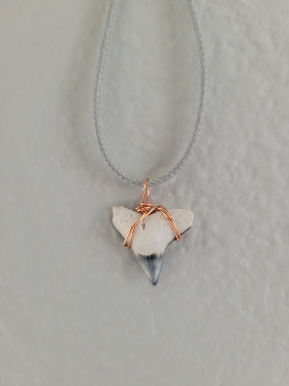 Bone Valley Bull Shark Tooth Necklace - image 2