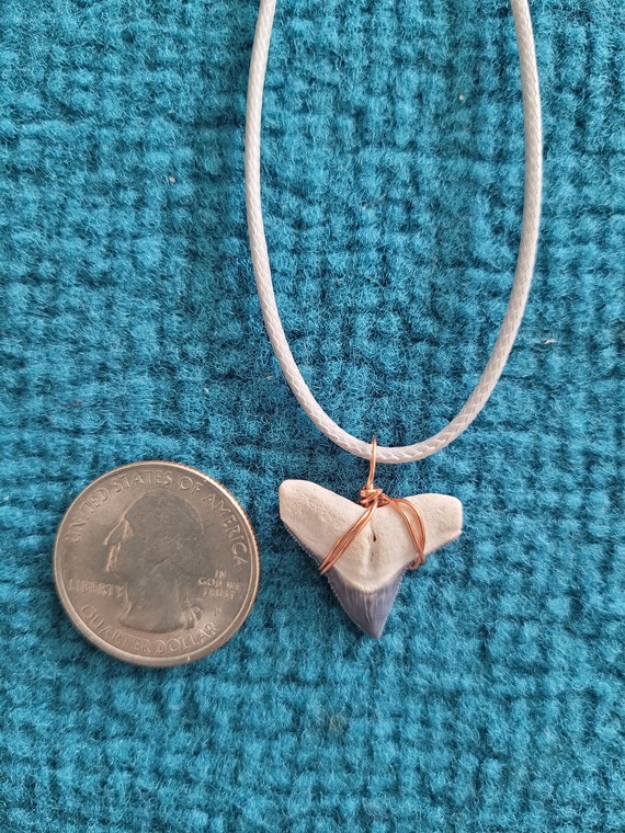 Bone Valley Bull Shark Tooth Necklace - image 10