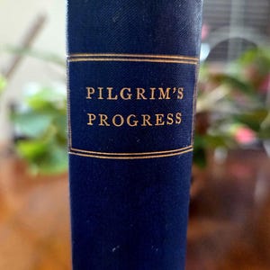 May include: A close-up of a book spine. The book is dark blue with gold lettering that reads "PILGRIM'S PROGRESS". The top edge of the book shows wear and tear. The background is blurred, suggesting a natural setting.