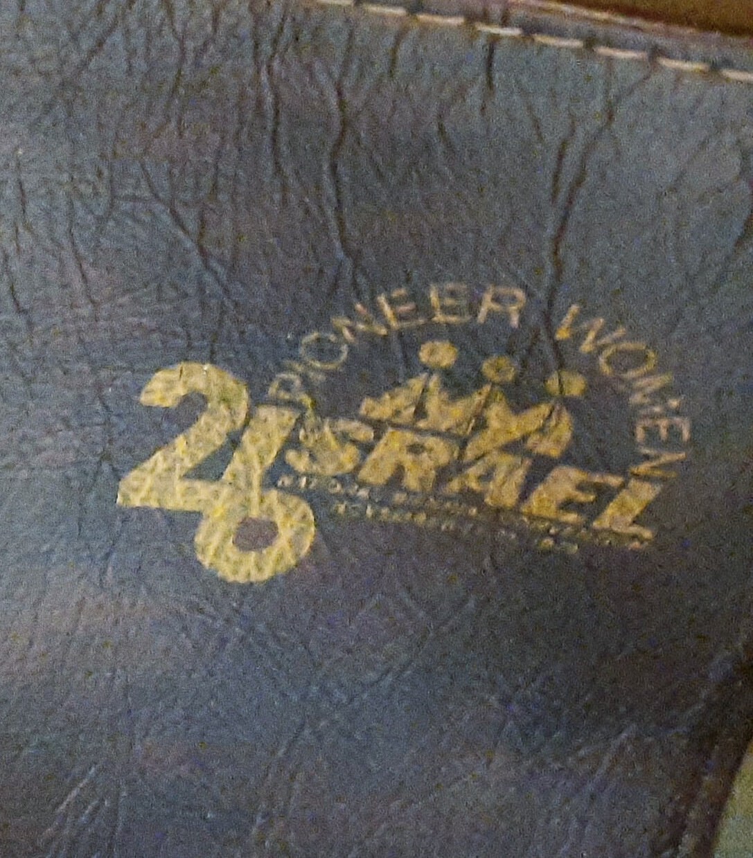 Vintage Pan Am Messenger Bag Brown and Blue Used for Pioneer Etsy