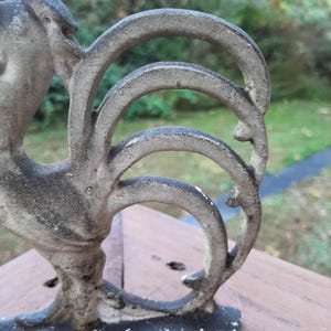 May include: Close-up of a cast iron rooster figurine with a detailed tail. The rooster is painted in a gray color with some white paint accents.