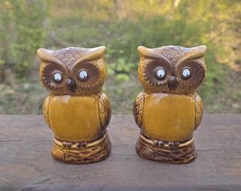 Vintage Googly Eyed Owl Salt and Pepper Shakers: 1970s Retro Tableware