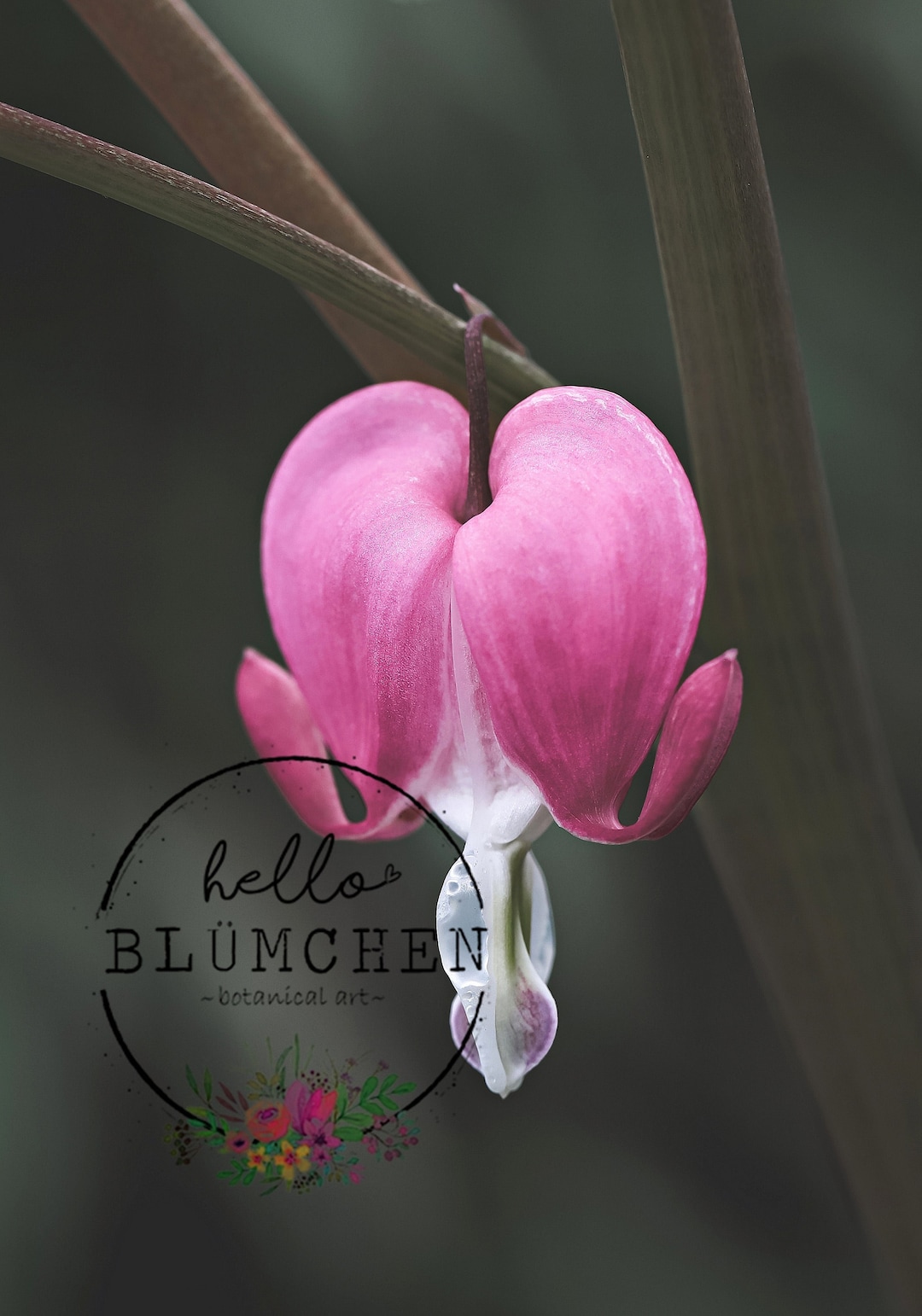 Digital Download, Digital Art, Printable Wall Art, Macro Photography