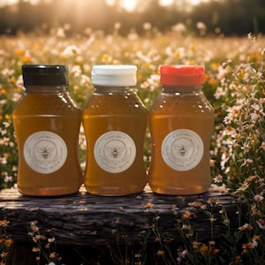 Honey Sample Set