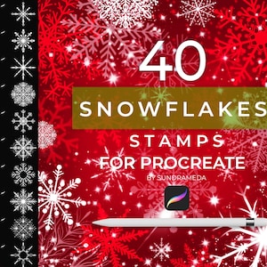 Procreate winter brushes, Procreate snowflake brushes, Procreate lights brushes, Procreate snow brushes, Procreate Christmas brushes