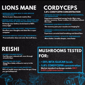 Cordyceps, Lions Mane, Reishi, Shilajit - Flow State Mushrooms Adaptogen Blend | High beta D glucan | High Cordycepin | Nootropic Blend image 8