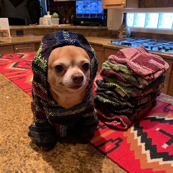 Famous DOGGY PONCHO