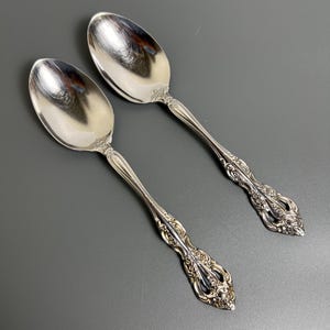 2 pc Oneida CUBE Stainless Steel MICHELANGELO 8 1/4” Serving Spoon Heirloom Used