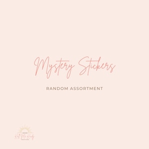 Mystery Sticker Grab Bag | Random Stickers