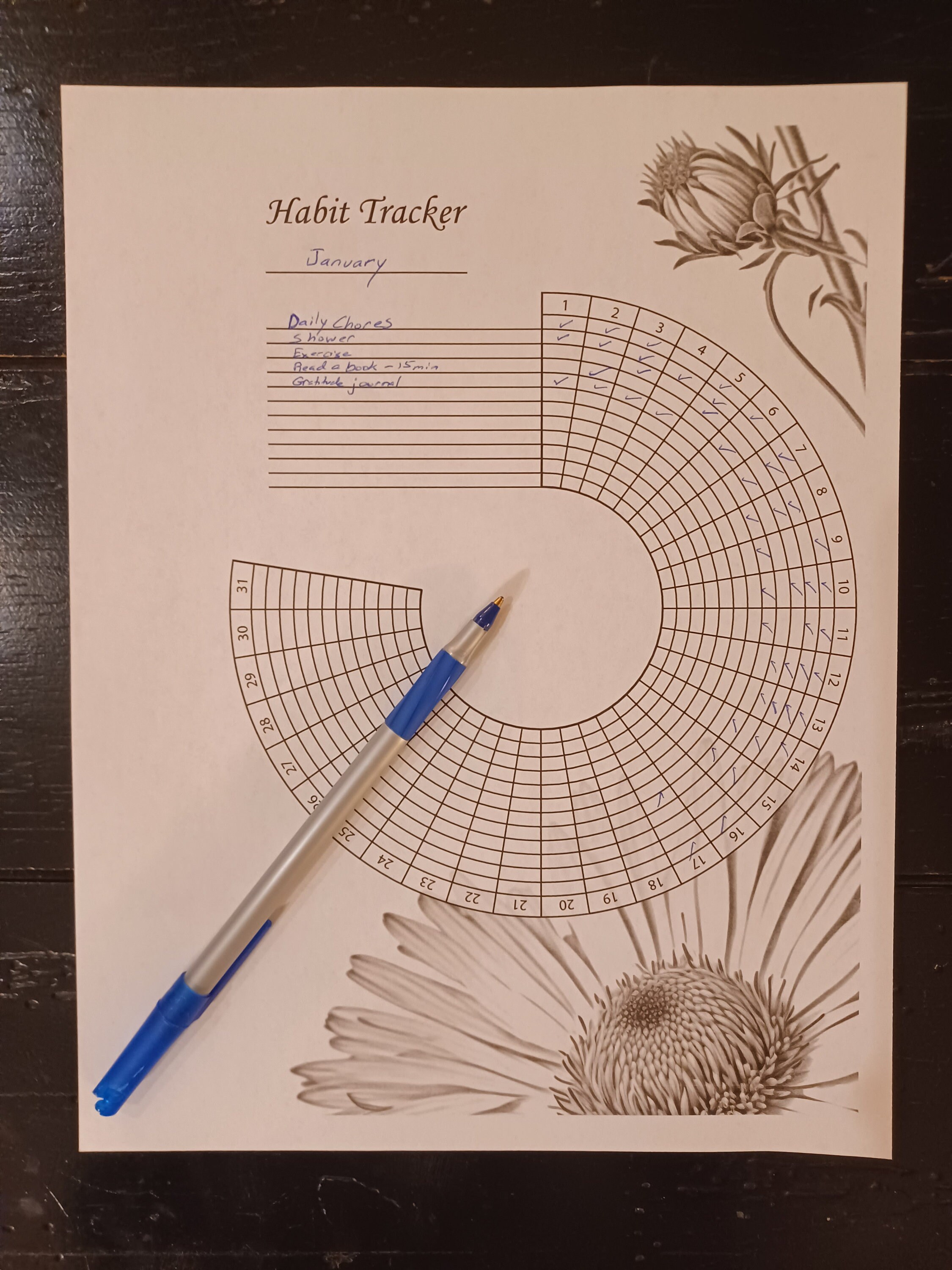 Circle Habit Tracker | Printable Monthly Habit Tracker | Habit Tracker ...